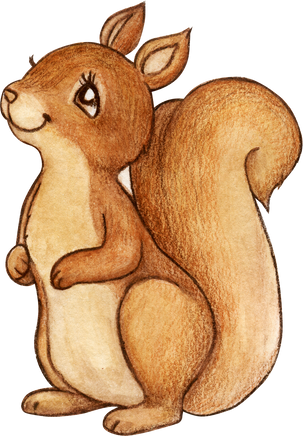 Illustration of a Squirrel