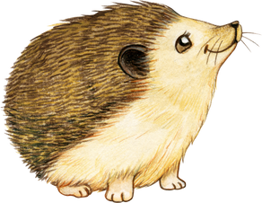 Watercolor Hand Drawn Hedgehog Illustration Cutout